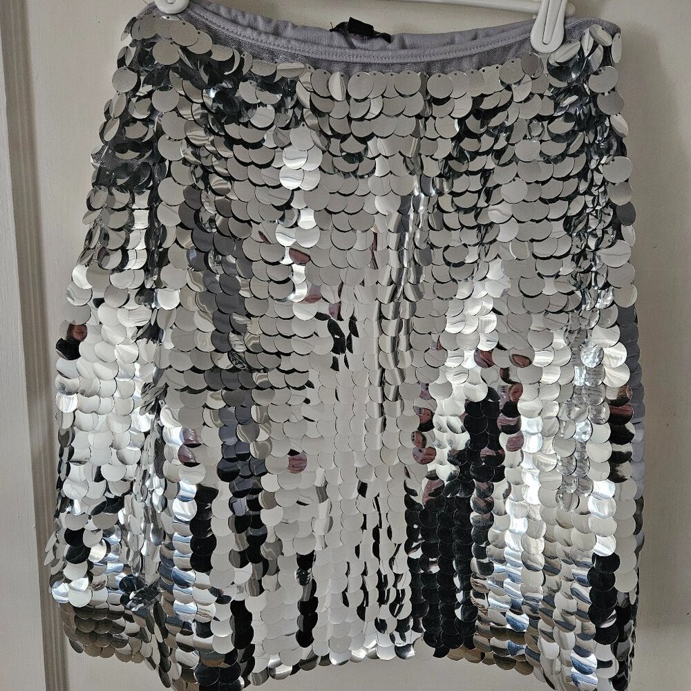 Wild Fable Sequin Skirt